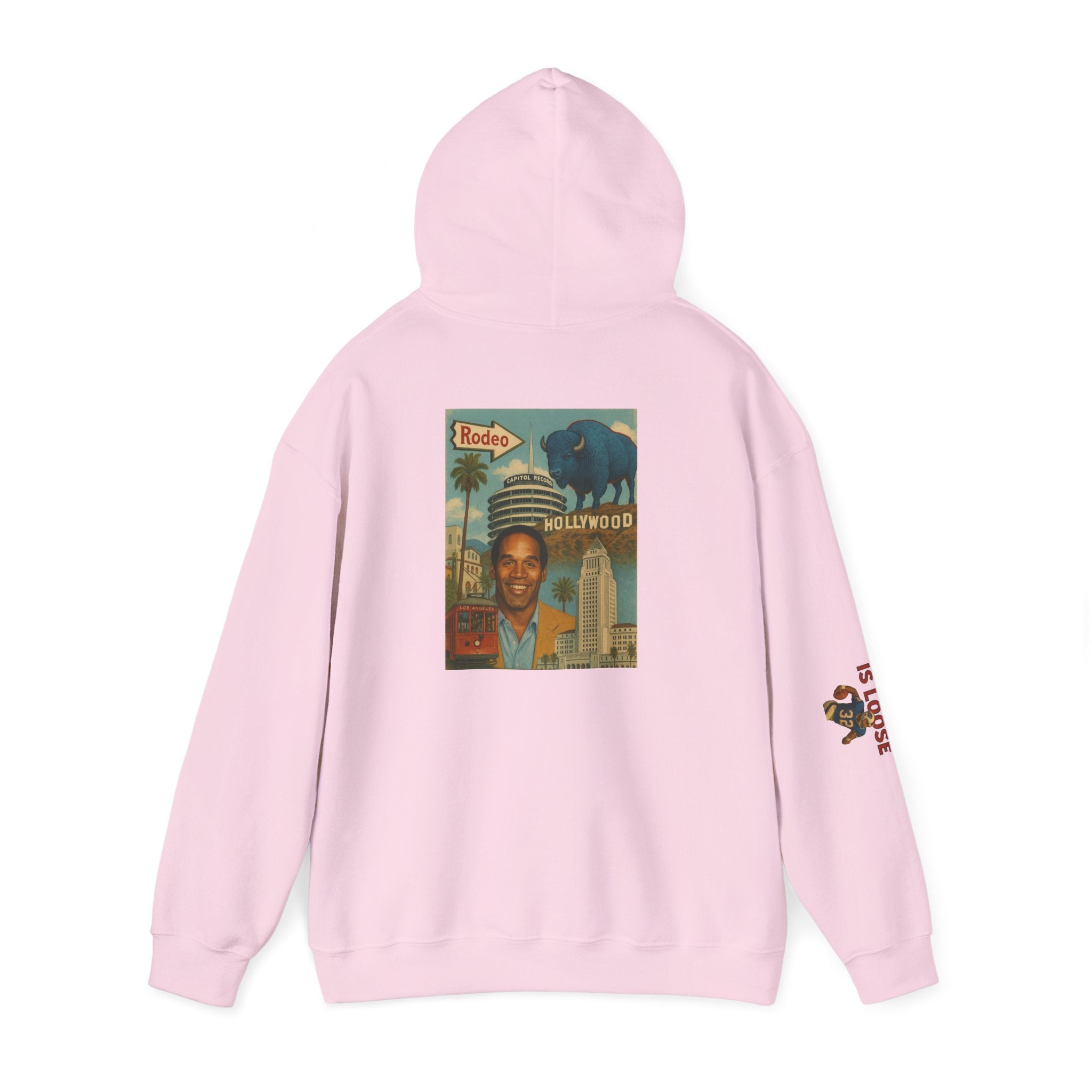 The Juice is Loose Unisex Hoodie, OJ/ Allen Special Vintage Sweatshirt, Allen - Simpson Fans.