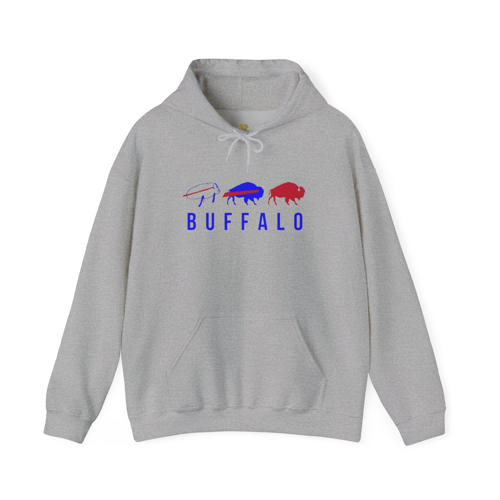 Buffalo Spirit Hoodie, Cozy Unisex Sweatshirt, Perfect Gift for Outdoorsy Friends, Casual Wear, Inspirational Apparel