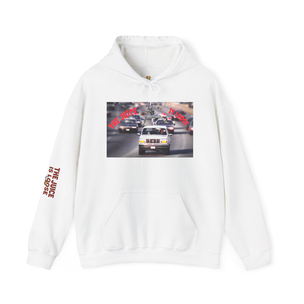 The Juice is Loose Unisex Hoodie, OJ/ Allen Special Vintage Sweatshirt, Allen - Simpson Fans.