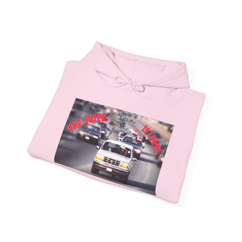 The Juice is Loose Unisex Hoodie, OJ/ Allen Special Vintage Sweatshirt, Allen - Simpson Fans.