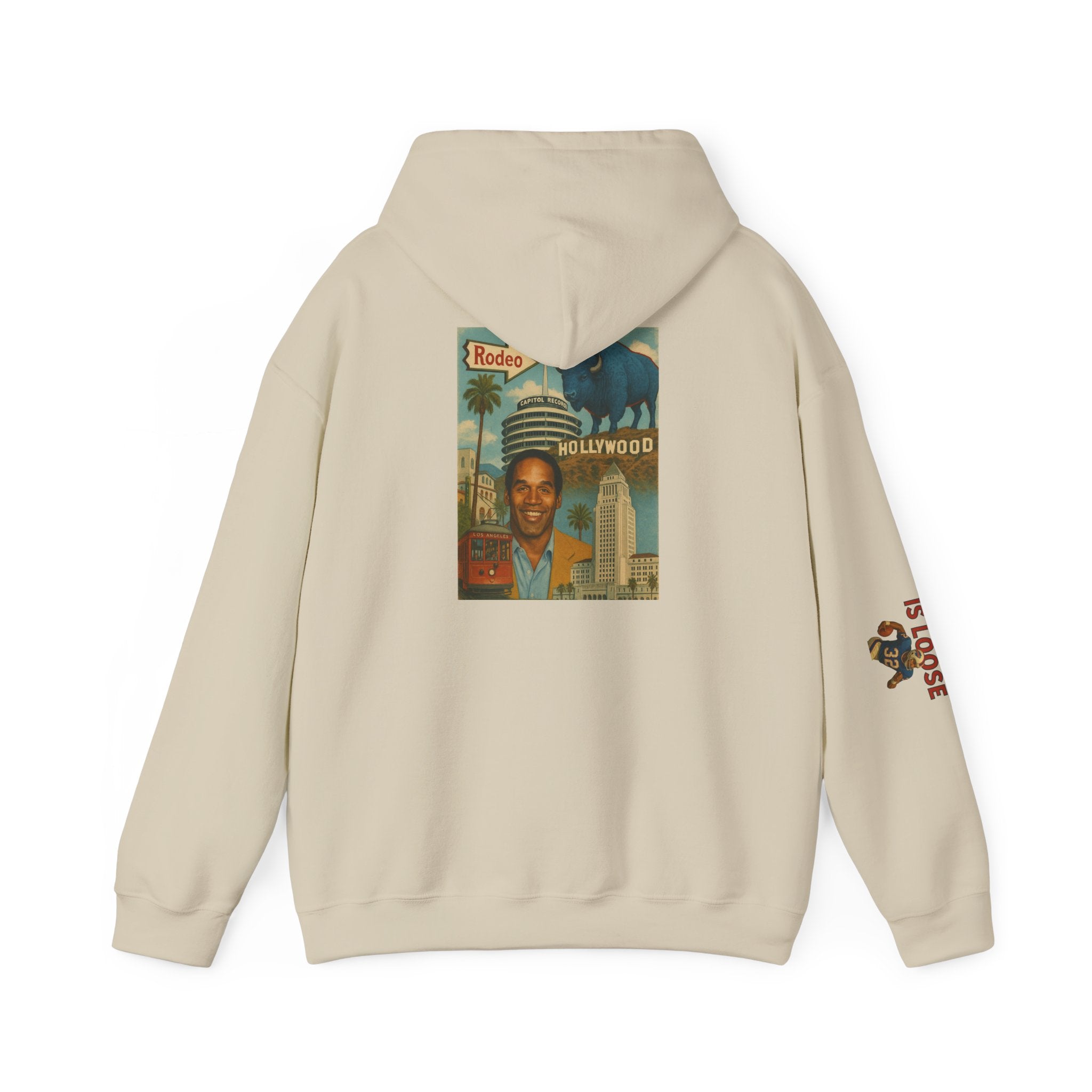 The Juice is Loose Unisex Hoodie, OJ/ Allen Special Vintage Sweatshirt, Allen - Simpson Fans.