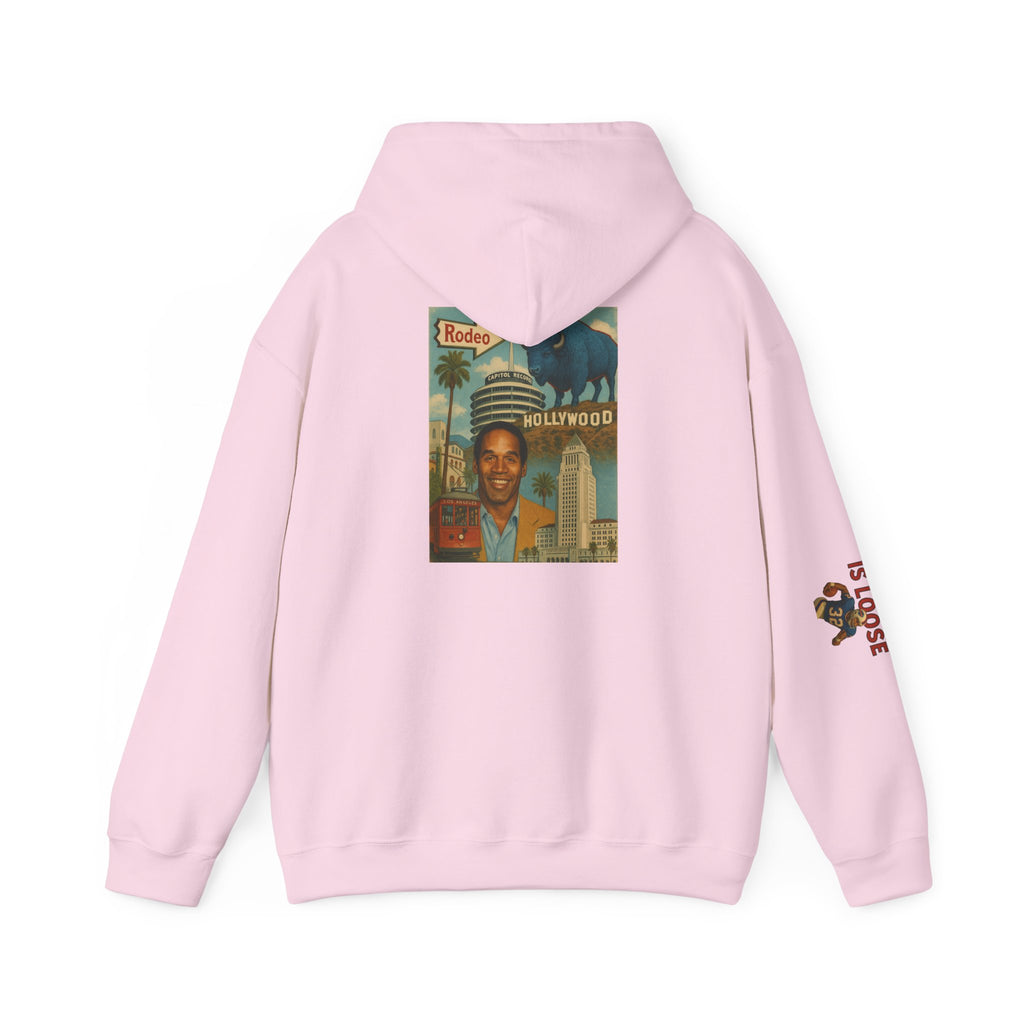 The Juice is Loose Unisex Hoodie, OJ/ Allen Special Vintage Sweatshirt, Allen - Simpson Fans.