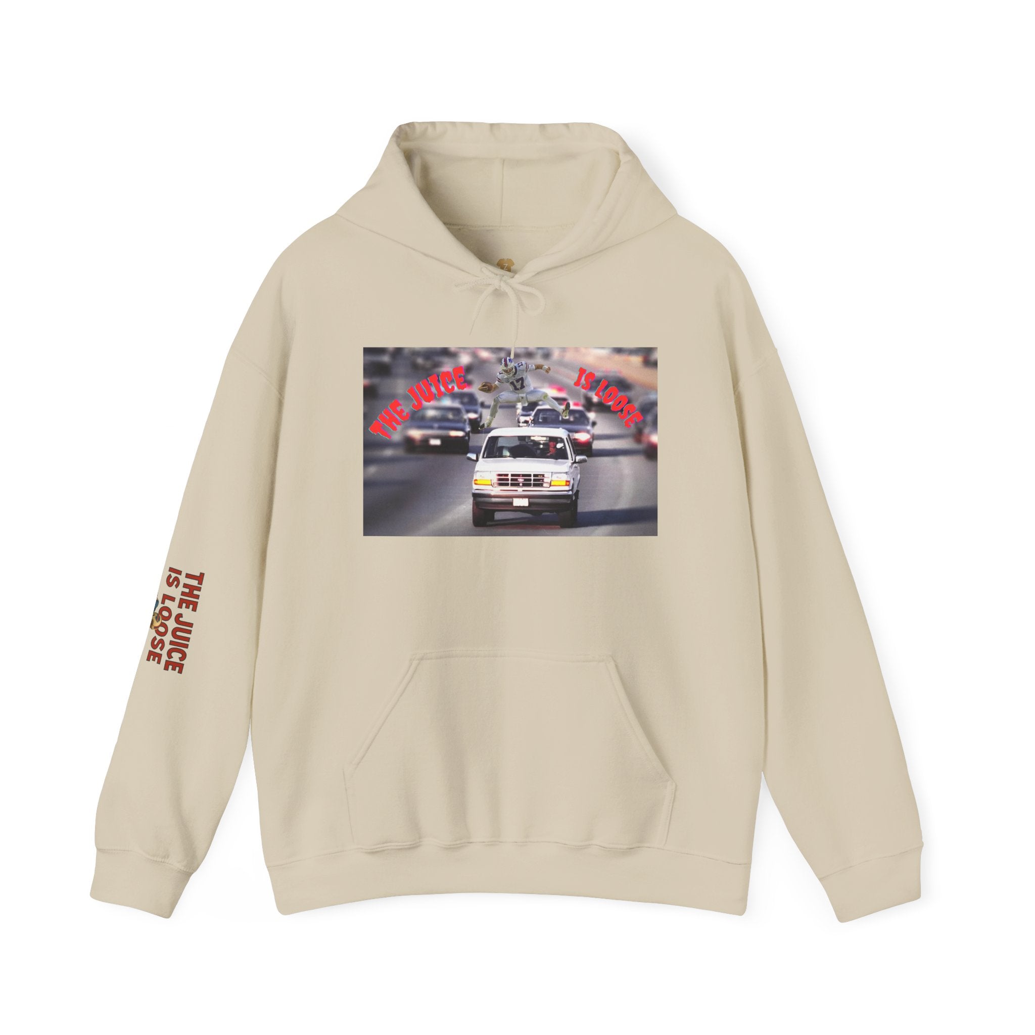 The Juice is Loose Unisex Hoodie, OJ/ Allen Special Vintage Sweatshirt, Allen - Simpson Fans.