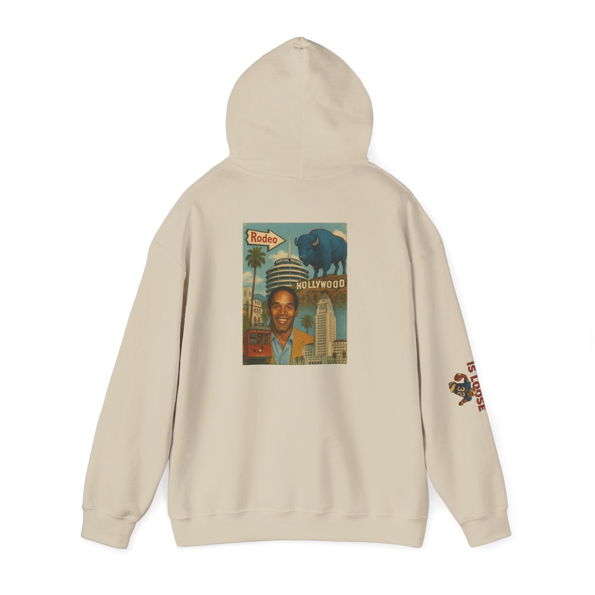 The Juice is Loose Unisex Hoodie, OJ/ Allen Special Vintage Sweatshirt, Allen - Simpson Fans.