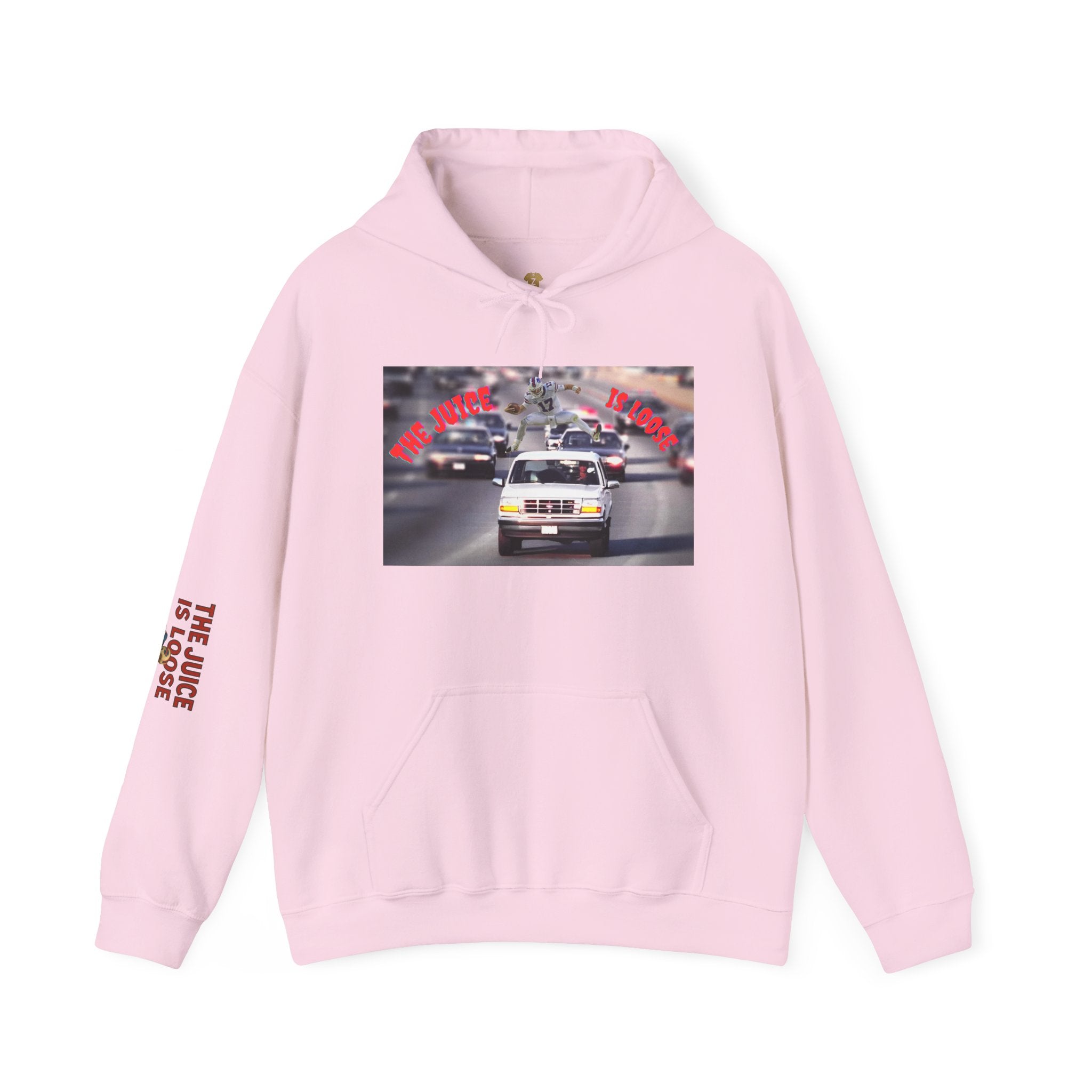 The Juice is Loose Unisex Hoodie, OJ/ Allen Special Vintage Sweatshirt, Allen - Simpson Fans.