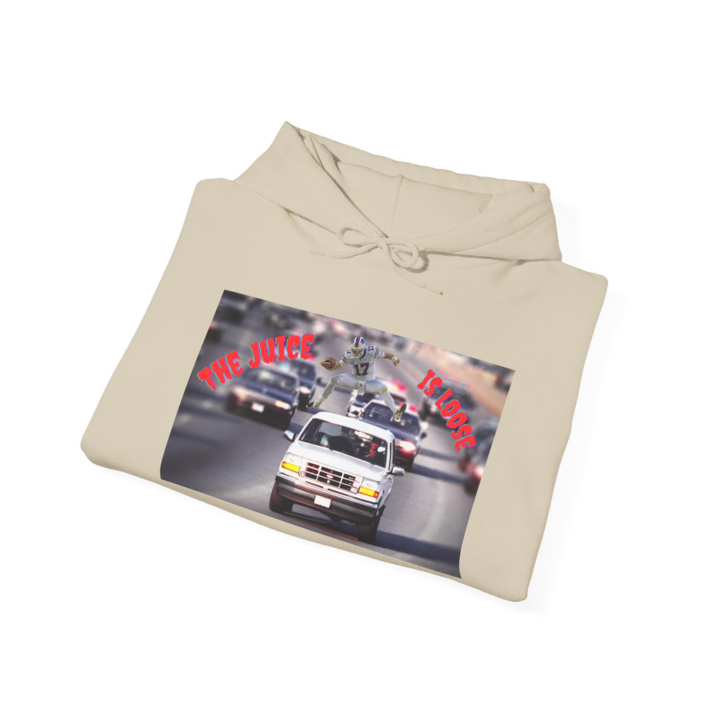 The Juice is Loose Unisex Hoodie, OJ/ Allen Special Vintage Sweatshirt, Allen - Simpson Fans.